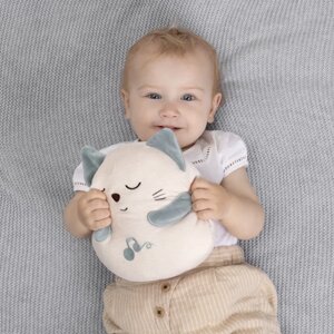 Chicco: Игрушка мягкая музыкальная "Мурчащий котёнок" 0м+