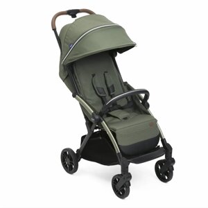 Chicco: прогулочная коляска Goody XPlus Twinkle Green