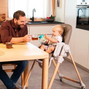 Chicco: Стульчик для кормления Polly Armonia Scandinavian