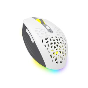 Игровая компьютерная мышь Delux M820DC