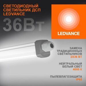 Светильник светодиодный Eco Class Damp Proof Slim 36Вт 4000К IP65 3700лм 1.2м ДСП промышленный накладной/подвесной сер.