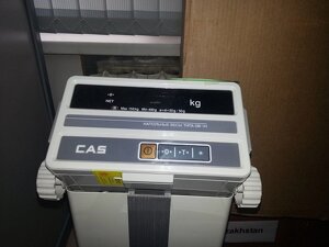 Весы напольные CAS DB-150