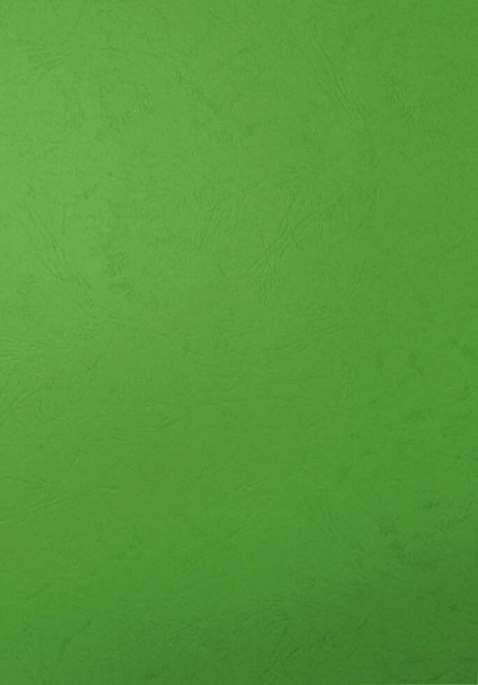 Обложка для переплета, A4, 230гр, картон &quot;под кожу&quot;, зеленая Bindermax - фото