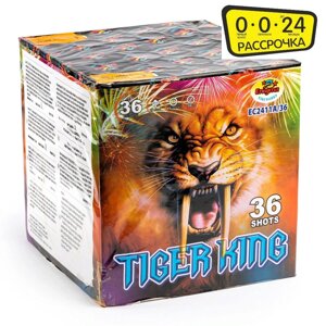 Батарея салютов TIGER KING BLUE EC2411/36-MIX2 36 залпов