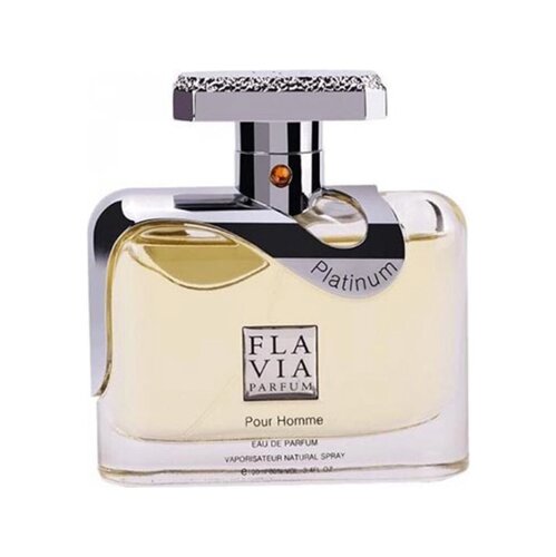 Flavia Platinum Pour Homme EDP 100 мл