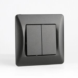 Выключатель двухклавишный, 10А, 220-250V (антрацит)