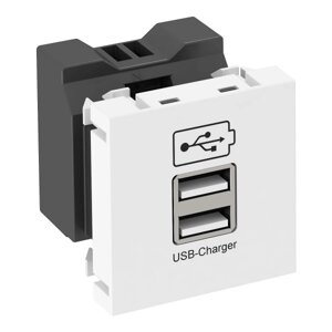 Розетка USB тип А двойная (2х0,6А или 1х1,2А) 1 модуль Modul45