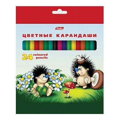 Карандаши "Hatber", 24 цвета, серия "Ёжики", в картонной упаковке от компании ИП Globus trade - фото 1