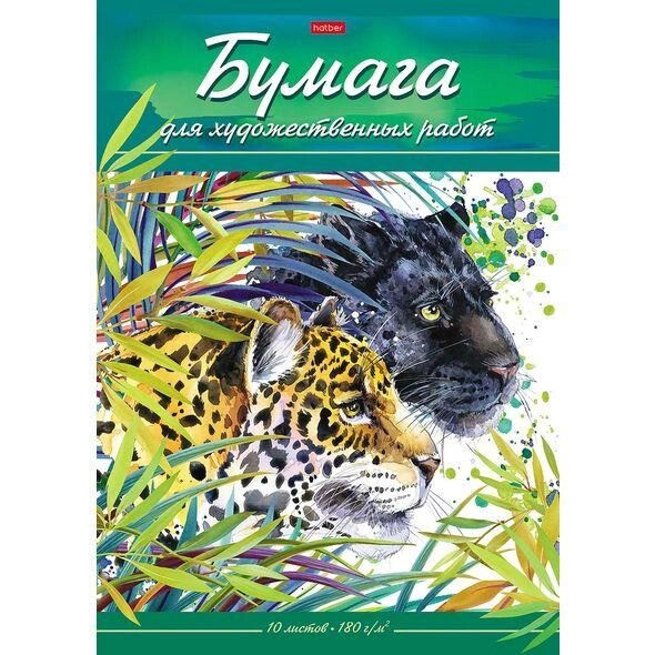 Набор бумаги для рисования "Hatber", 10л, А3, 180гр/м2, тиснение, в папке, серия "Дикий мир" от компании ИП Globus trade - фото 1