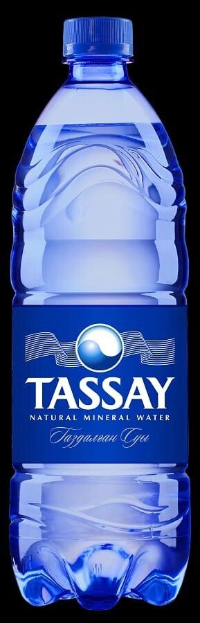 Вода газированная  питьевая &quot;Tassay&quot;, 1 л - интернет магазин