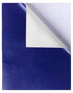 Тетрадь "Hatber NN", 48л, А5, клетка, обложка бумвинил, на скобе, серия "Синяя"