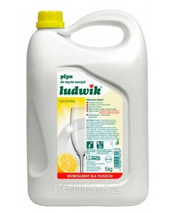 Ludwik для мытья посуды 5 л лимон