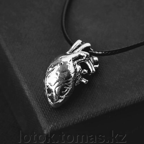 Кулон на шнурке "Анатомия" сердце, цвет чернёное серебро, 45 см