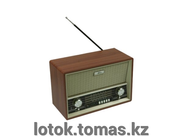 Радиоприемник портативный Ritmix RPR-102 - Интернет-магазин приятных покупок LotOk