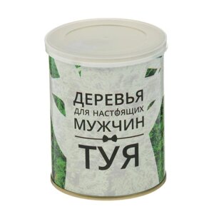 Растущая травка в банке «Деревья для настоящих мужчин ТУЯ»