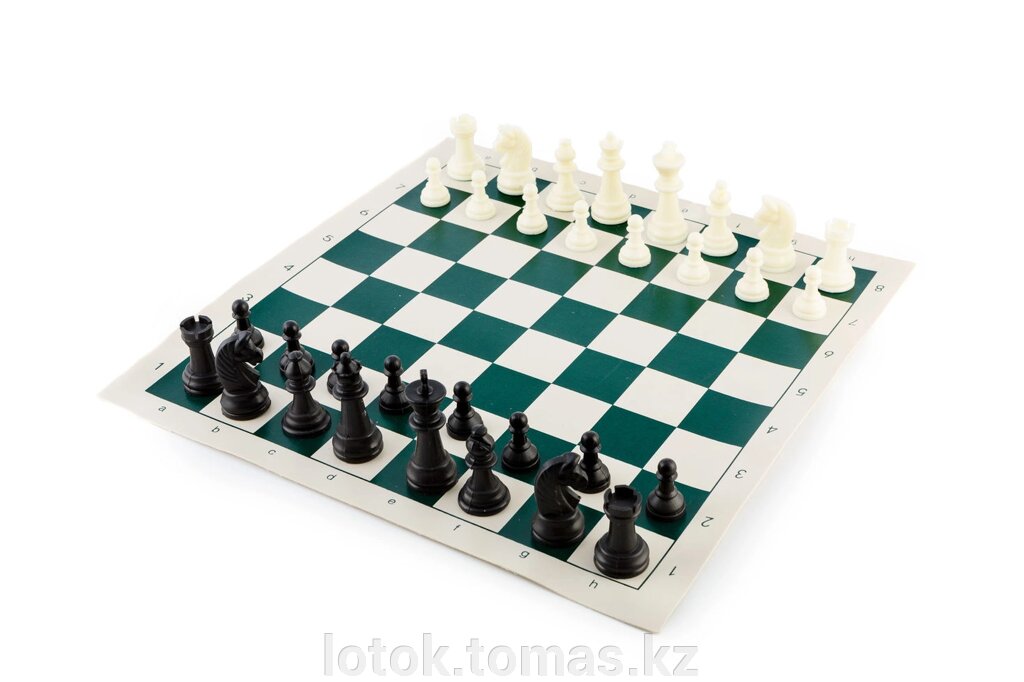 Шахматный набор в тубусе от компании Интернет-магазин приятных покупок LotOk - фото 1
