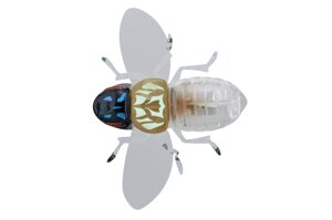 Воблер Jackall BugDog 37mm 3.1g Bug Skelton