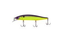 RV-Minnow