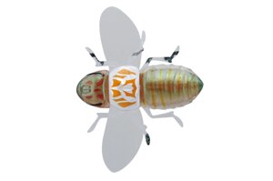 Воблер Jackall BugDog 37mm 3.1g Uka Cicada