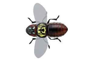 Воблер Jackall BugDog 37mm 3.1g Chartreuse Back Cicada
