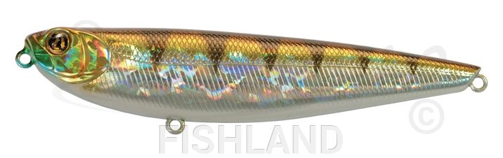 Воблер-волкер Pontoon21 ZanyZag 100SL (12,3г, поверхностный) /107 от компании FISHLAND - фото 1