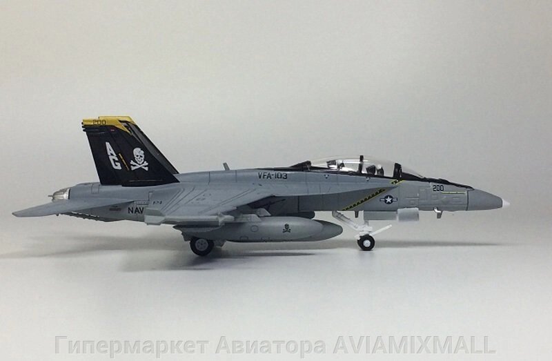 Модель самолета-истребителя F/A-18F Super Hornet в раскраске Jolly Roger, масштаб 1/100 от компании Гипермаркет Авиатора AVIAMIXMALL - фото 1