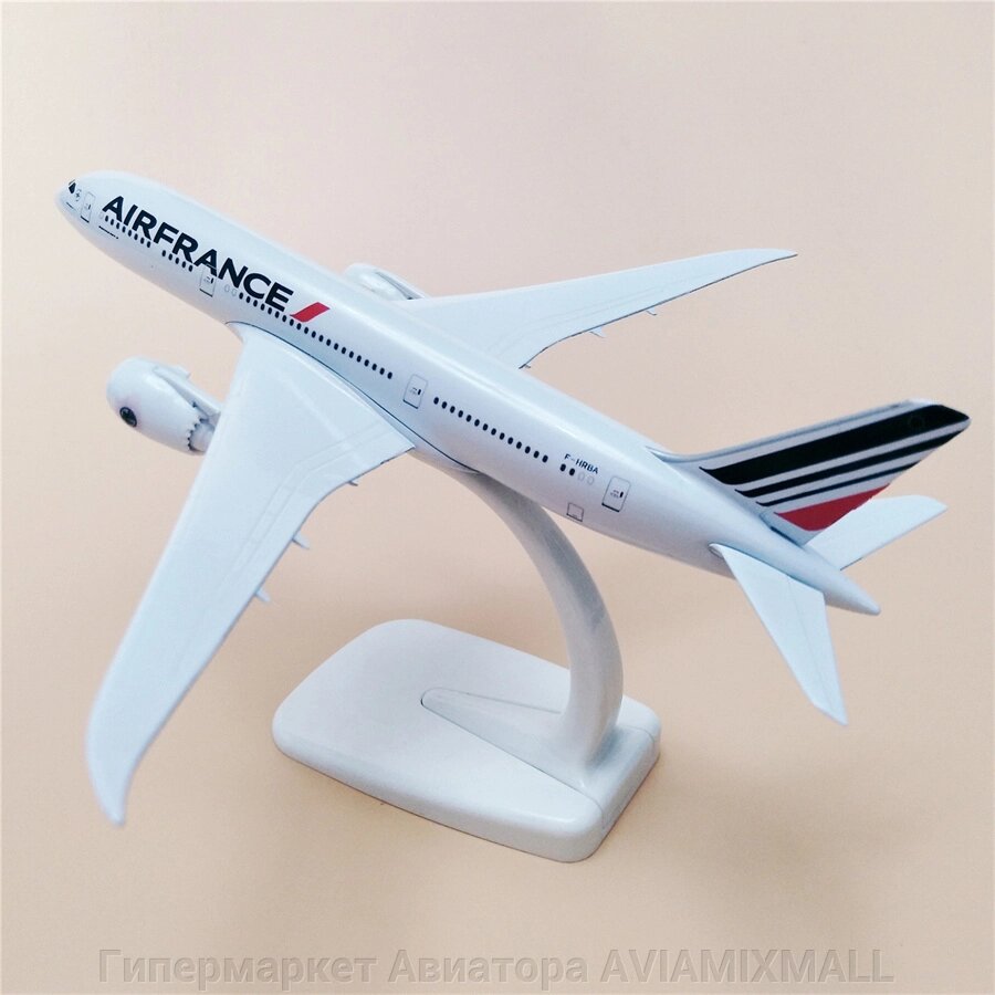 Модель самолета Boeing 787-9 Dreamliner в ливрее авиакомпании Air France, масштаб 1/350 от компании Гипермаркет Авиатора AVIAMIXMALL - фото 1