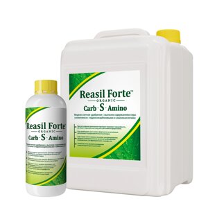 Reasil Forte Carb-S-Amino