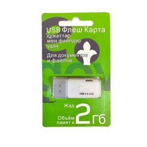 USB флеш-накопитель 2 ГБ для документов