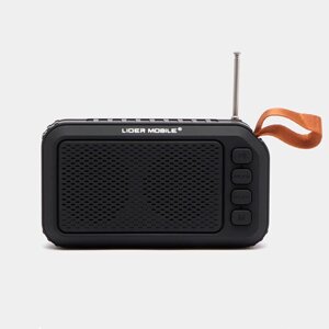 Колонка Bluetooth LIDER MOBILE L18 с радио, 5 Вт