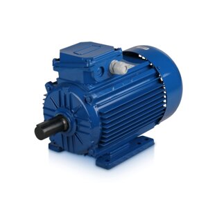 Электродвигатель 100LA8-SDN-MC2-0.75/750 B3 0.75квт 380/220в DIN у2