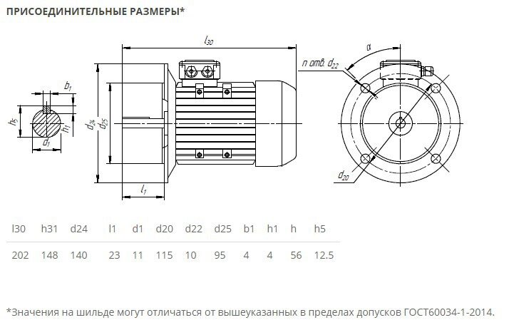 Электродвигатель 5АИ 56 А4 0,12/1500 IM3081 0,12кВт 380/220В У2 от компании ТОО "Nekei" - фото 1