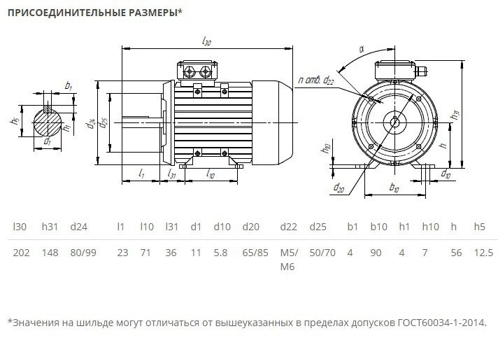 Электродвигатель 5АИ 56 В2 0,25/3000 IM2181 0,25кВт 380/220В У2 от компании ТОО "Nekei" - фото 1