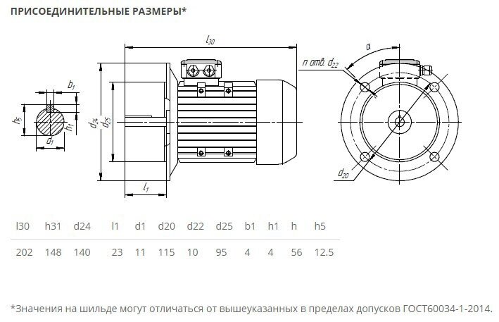 Электродвигатель 5АИ 56 В2 0,25/3000 IM3081 0,25кВт 380/220В У2 от компании ТОО "Nekei" - фото 1