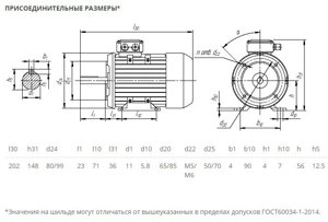 Электродвигатель 5АИ 56 В2 0,25/3000 IM2181 0,25кВт 380/220В У2