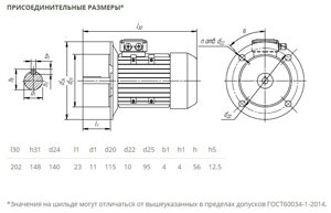 Электродвигатель 5АИ 56 В2 0,25/3000 IM3081 0,25кВт 380/220В У2