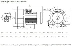 Электродвигатель 5АИ 90 L2 3/3000 IM2001/2081 3кВт 380/220В У2