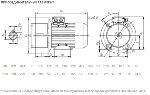 Электродвигатель 5АИ 80 В2 2,2/3000 IM2001/2081 2,2кВт 380/220В У2