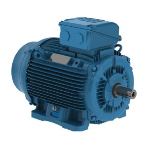 Электродвигатель W22 132S 4Р 5,5 кВт IM1081 380В/660В IP55 WEG IE1