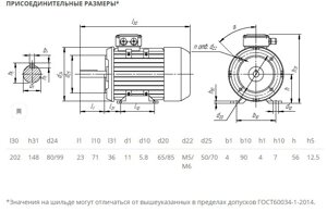 Электродвигатель 5АИ 56 А4 0,12/1500 IM2181 0,12кВт 380/220В У2