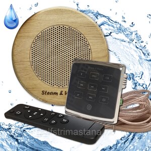 Комплект акустической системы SW 1 Black ECO Sauna