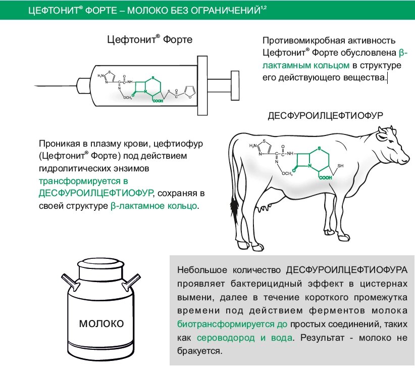 Цефтонит Форте 100 мл от компании ТОО «Амагел» -Поставщик ветеринарных препаратов и зоотоваров - фото 1