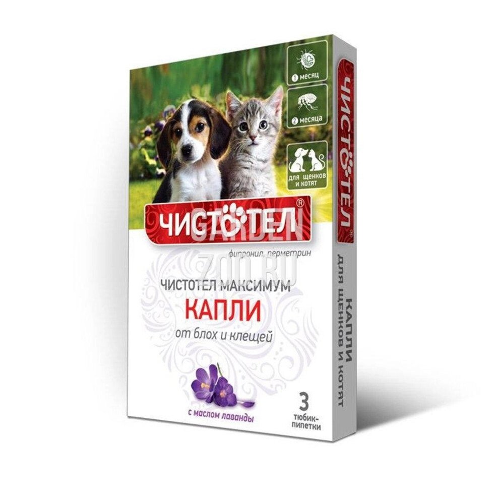 Капли Чистотел Максимум Юниор для котят и щенков от компании ТОО «Амагел» -Поставщик ветеринарных препаратов и зоотоваров - фото 1