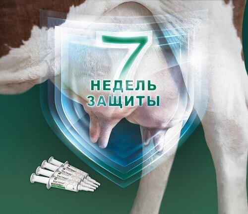 Мастенит 3,6гр ( 600мг клоксацилина)  шприц для одномоментного запуска от компании ТОО «Амагел» -Поставщик ветеринарных препаратов и зоотоваров - фото 1