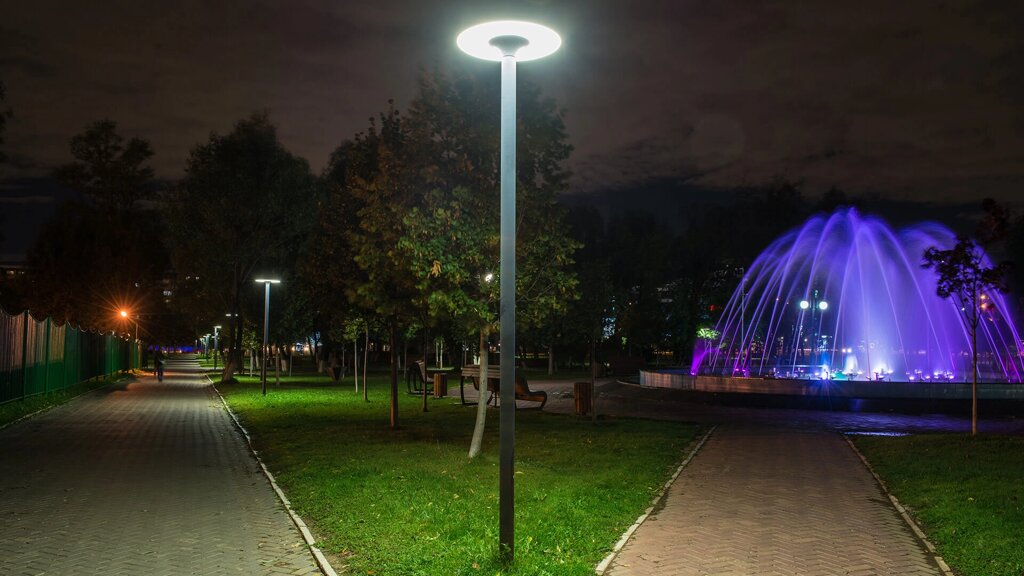 Парковый светильник 100 ватт от компании Белая птица - фото 1