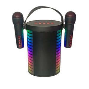Bluetooth-проигрыватель, колонка-караоке портативная c 2 беспроводными микрофонами Y-888