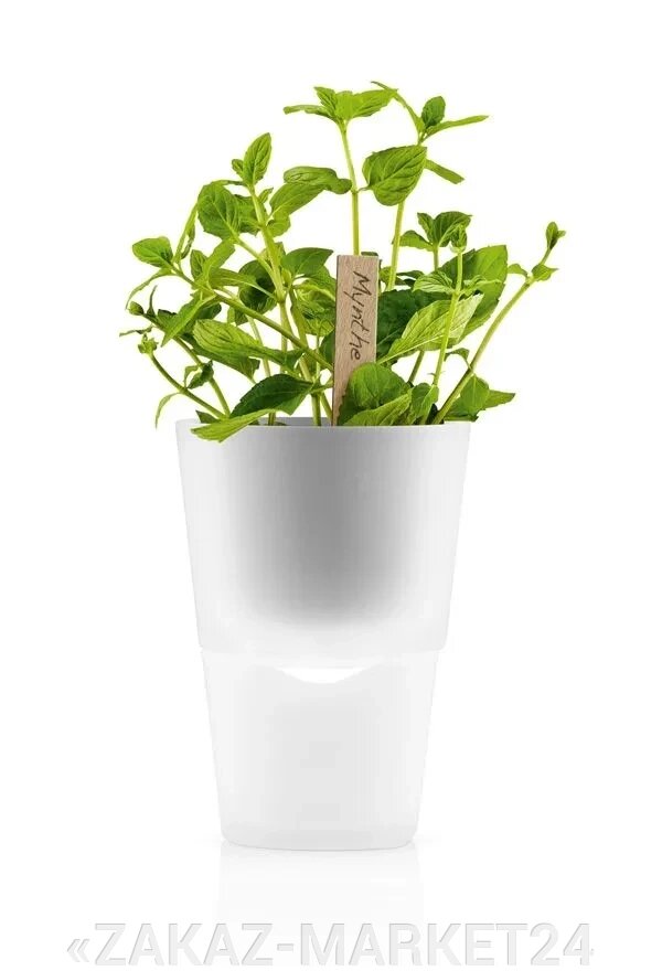 Горшок цветочный, 13см белый EVA SOLO Herb pot 568215 от компании «ZAKAZ-MARKET24 - фото 1