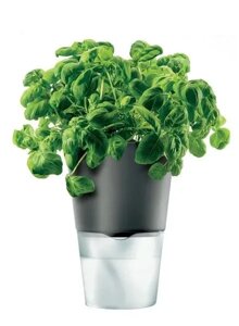 Горшок цветочный, 13см серый EVA SOLO Herb pot 568204