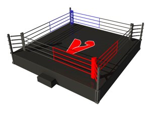 Боксерский ринг на помосте 5х5 м (боевая зона 4х4 м), помост 0,5 м
