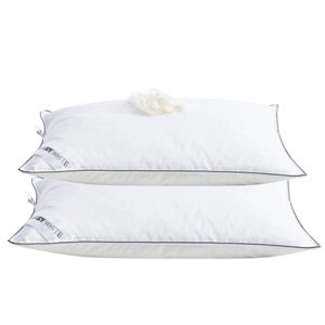 Подушка из гусиного пуха 70х70 Clasy GOOSE DOWN PILLOW